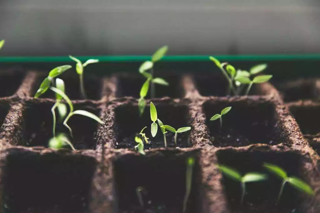 Grow Now Header Banner